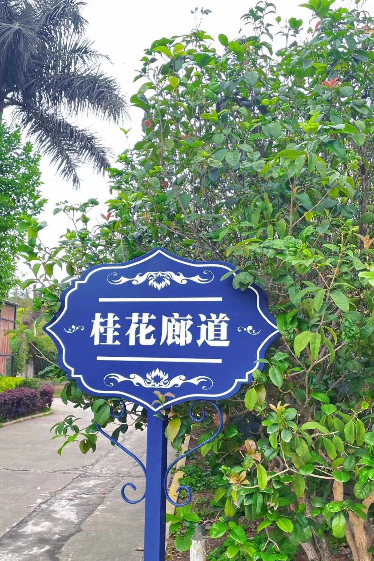 厦门翔安颐豪酒店 外观 照片